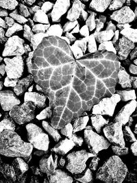 Full frame shot of stones