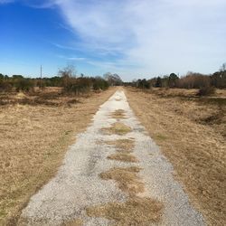 Dirt road amidst field against sky