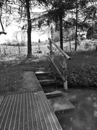 Steps and trees