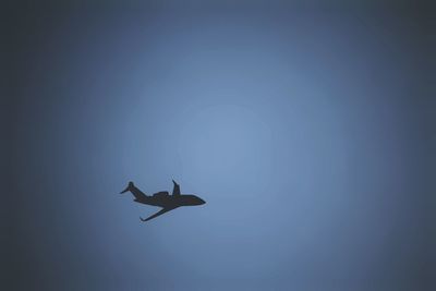 Low angle view of silhouette birds flying against clear sky