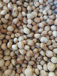 large group of objects