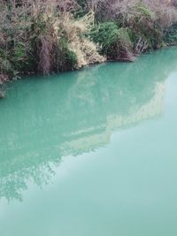 Scenic view of sea