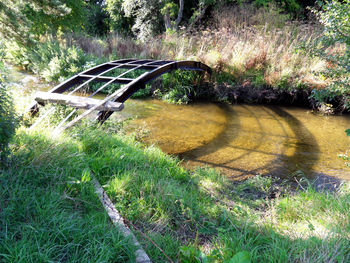 View of bridge in forest