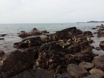 Rocks on beach against sky