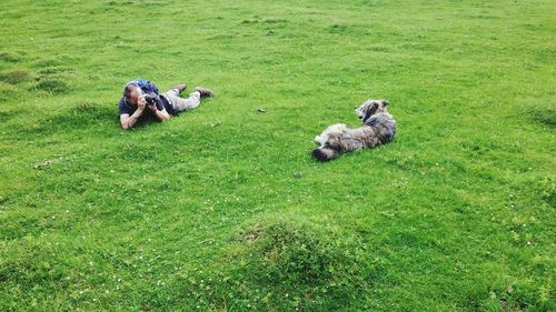Man photographing dog while lying on grassy field