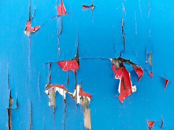 Full frame shot of peeling blue paint revealing bright red paint below on wooden door 