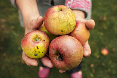 Close-up of person holding apple