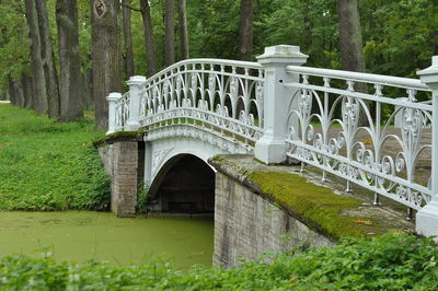 View of bridge in forest