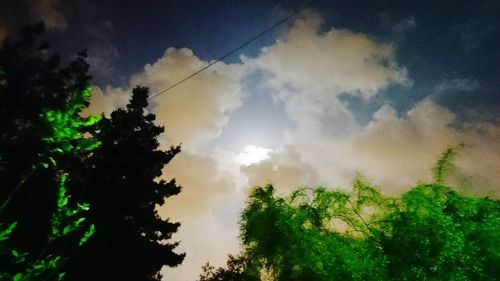 Low angle view of trees against sky