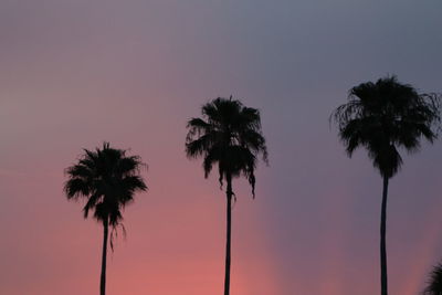 Low angle view of silhouette palm trees against romantic sky