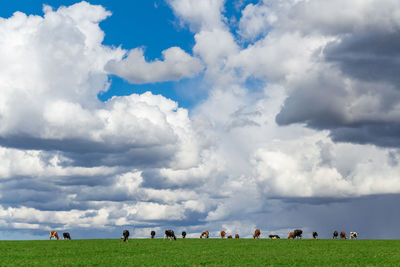 Scenic view of landscape against cloudy sky