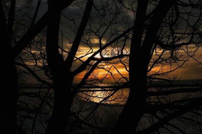 Bare trees against sky at sunset