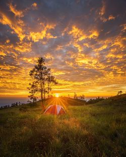 Scenic view of field against sky during sunset