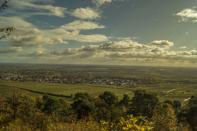 Scenic view of landscape against sky