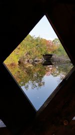 Reflection of trees on window