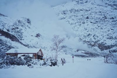 Snow covered houses and trees against sky