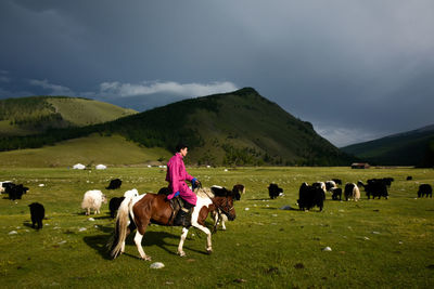 View of horses on grassy field against sky