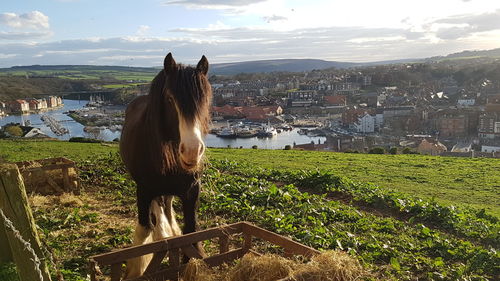 Woman standing by sea against sky