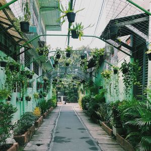 architecture