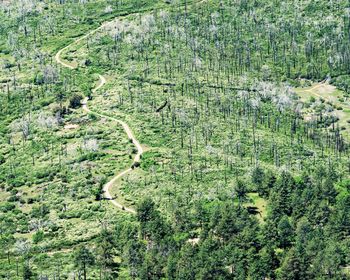 High angle view of winding road on landscape