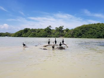 People swimming in the sea against sky