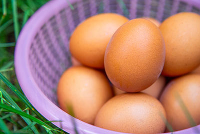 Close-up of egg in basket