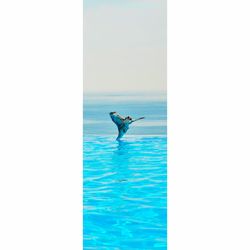 Bird perching on swimming pool against sky