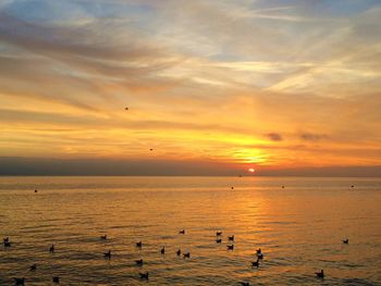 Scenic view of sea against orange sky