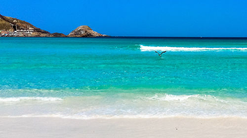 Scenic view of sea against clear blue sky