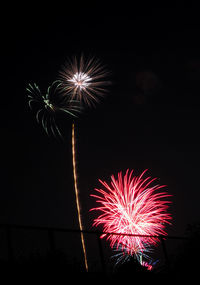 Low angle view of firework display at night