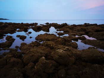 Rocks on beach against sky