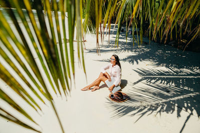 Full length of palm tree in water
