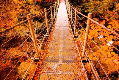 High angle view of footbridge along trees