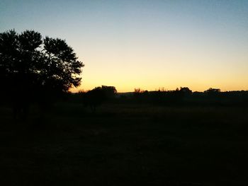 Silhouette trees on field against clear sky