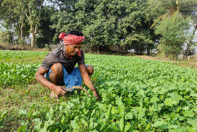 Side view of woman picking plants