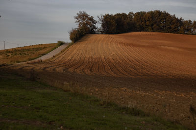 Scenic view of agricultural field against sky