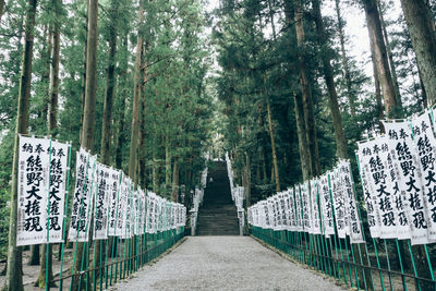 Footpath along trees