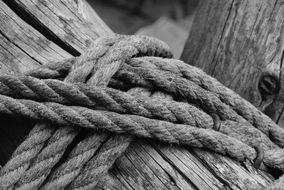 Close-up of ropes tied to wood