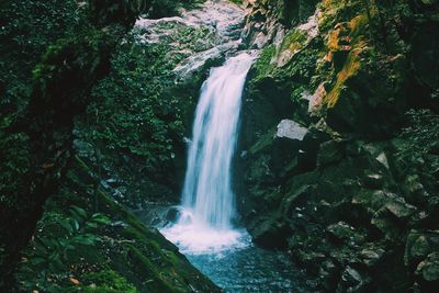 Scenic view of waterfall in forest