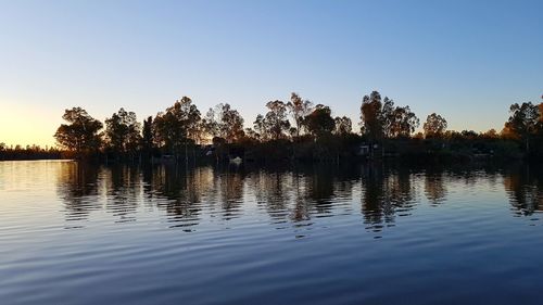 Silhouette trees by lake against clear sky during sunset