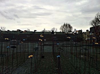 Trees against cloudy sky