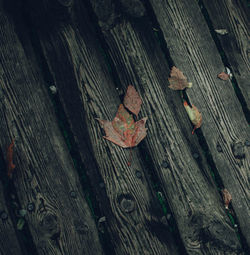 High angle view of wooden bench on boardwalk