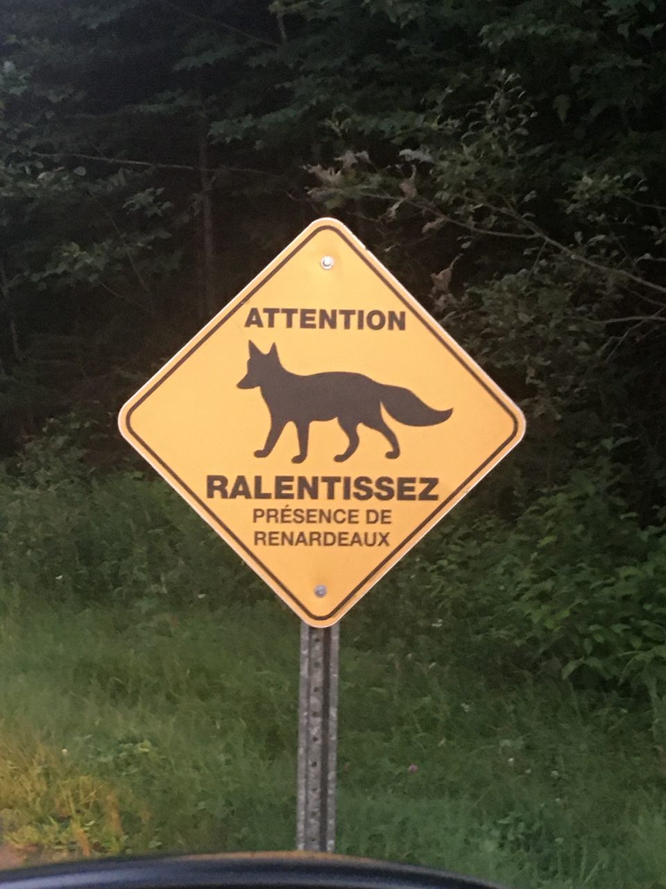 CLOSE-UP OF ROAD SIGN AGAINST PLANTS