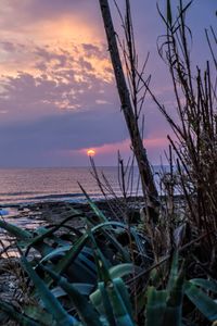 Scenic view of sea against romantic sky at sunset