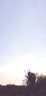 Silhouette trees on landscape against clear sky