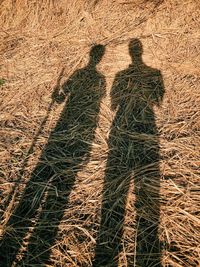 Shadow of man on wall