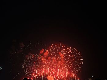 Low angle view of firework display at night