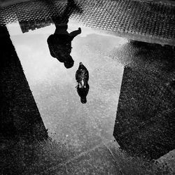 Reflection of people in puddle on street