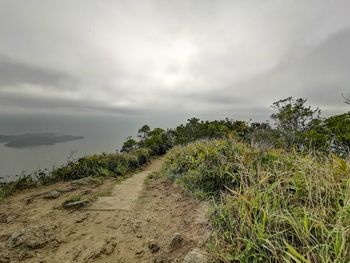 Plants growing on land against sky