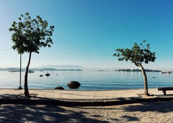 Scenic view of sea against clear sky